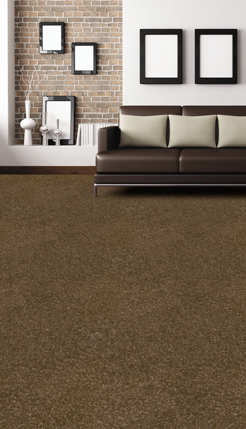 Flooring Vision, Polypropylene Carpet  Albany, Flooring Albany, Carpet Albany, Polypropylene Carpet North Shore ,
